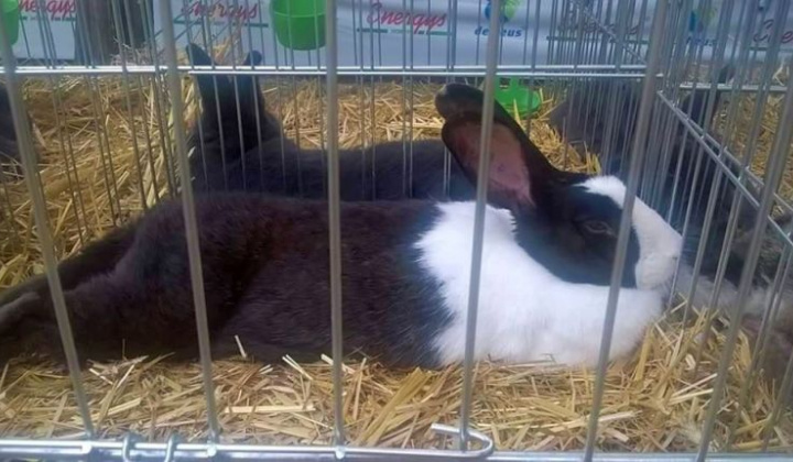 Zobraziť fotografiu