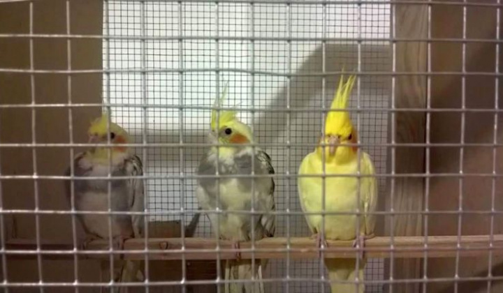 Zobraziť fotografiu