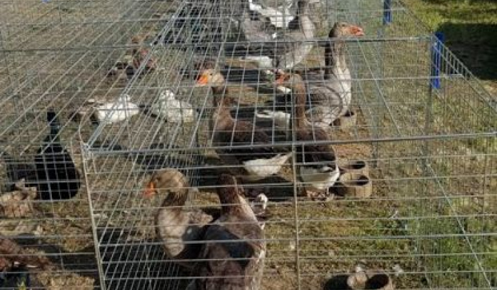 Zobraziť fotografiu