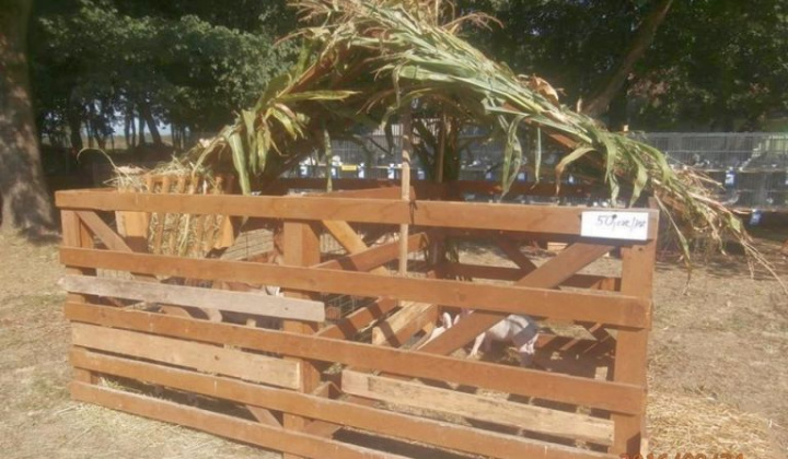 Zobraziť fotografiu