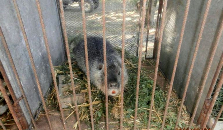 Zobraziť fotografiu