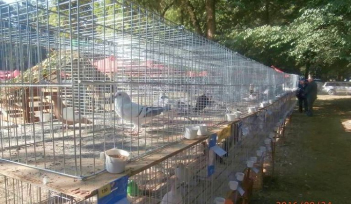 Zobraziť fotografiu