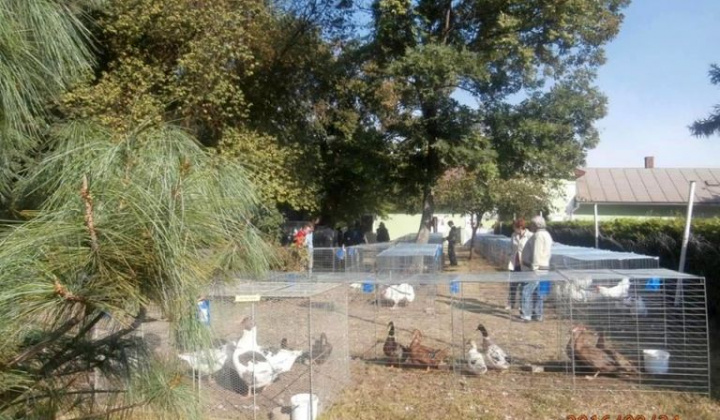 Zobraziť fotografiu