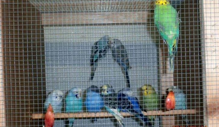 Zobraziť fotografiu