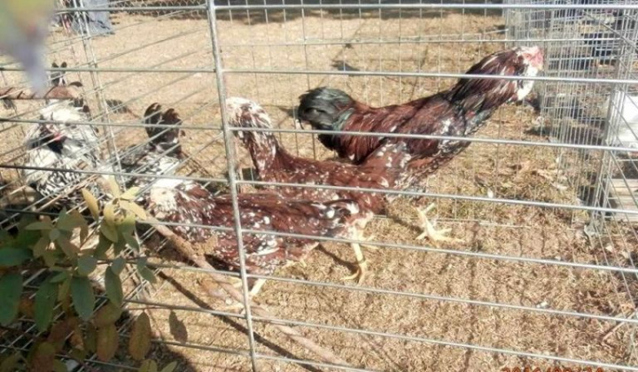 Zobraziť fotografiu