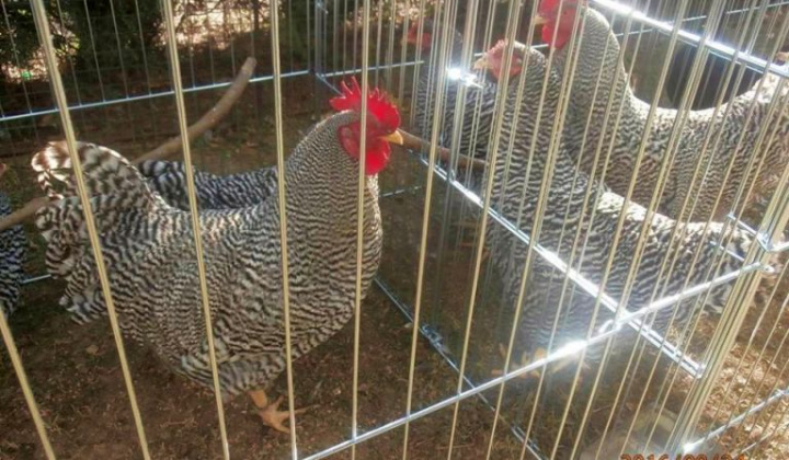 Zobraziť fotografiu