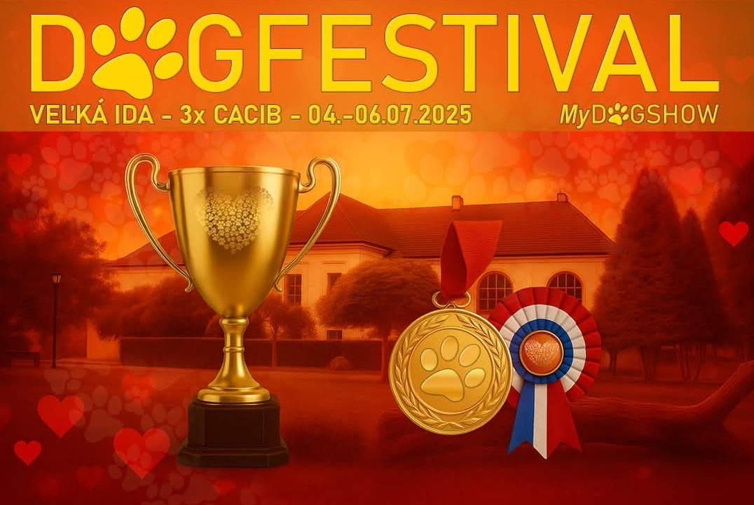 Výstava psov